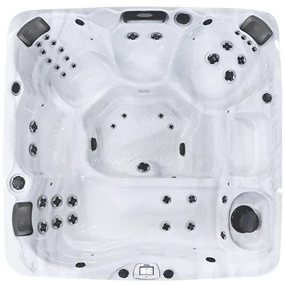 Avalon-X EC-840LX hot tubs for sale in Montrose