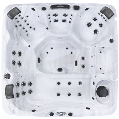 Avalon EC-867L hot tubs for sale in Montrose