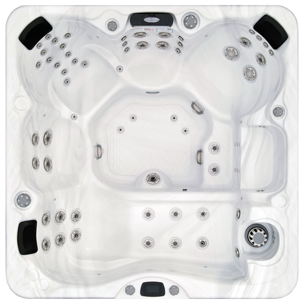 Avalon-X EC-867LX hot tubs for sale in Montrose